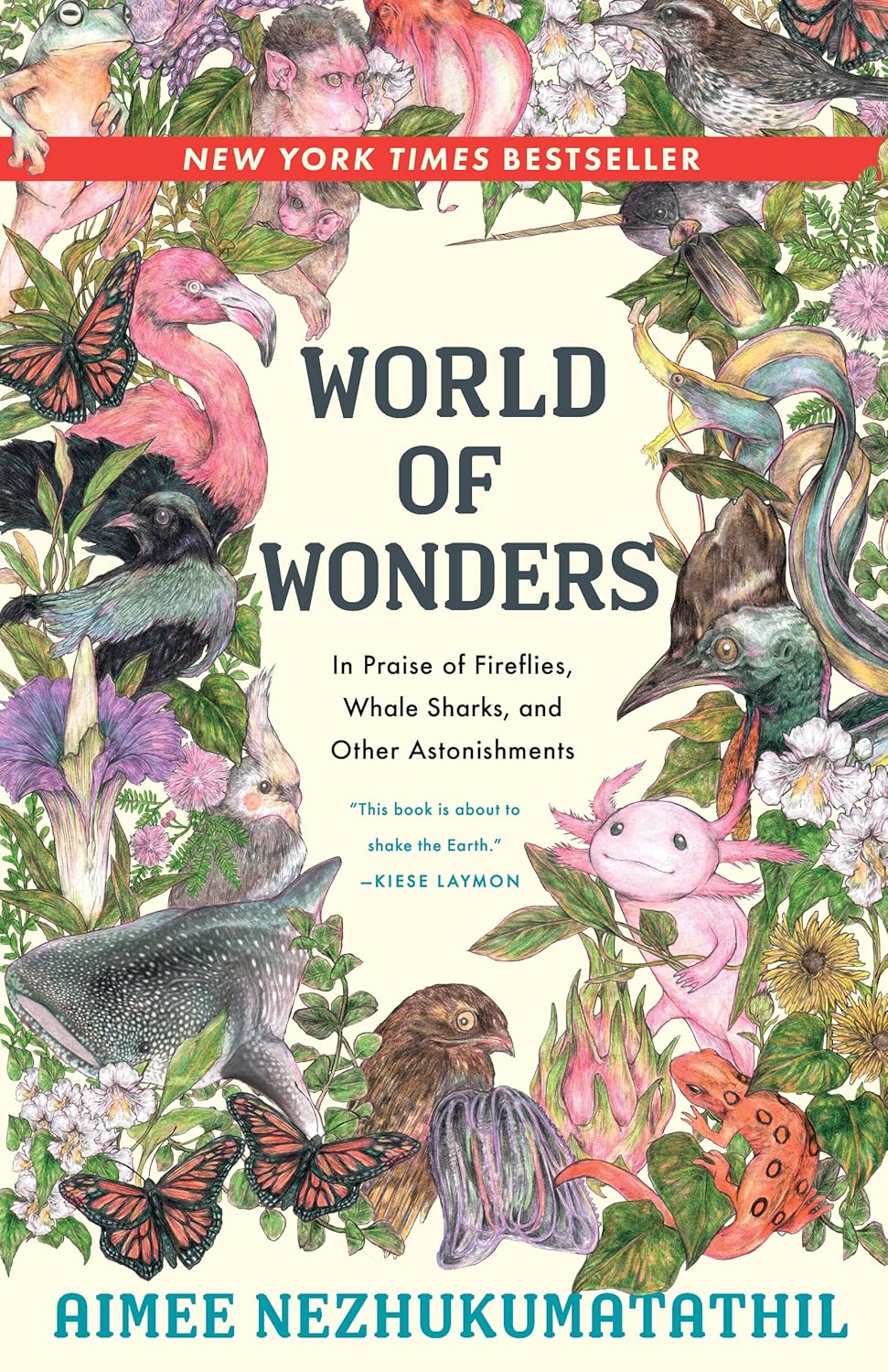 world of wonderd