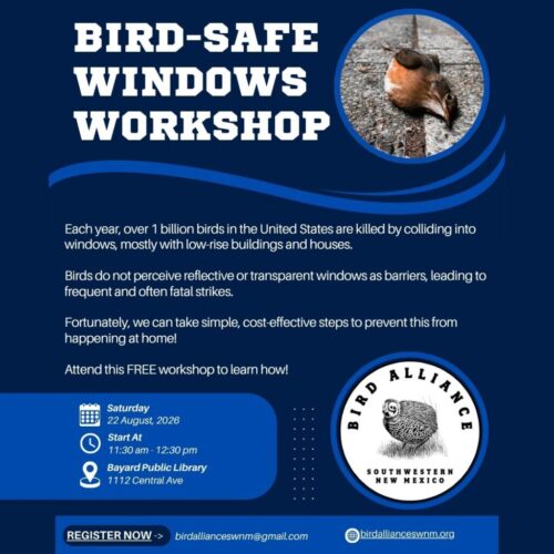 Bird-safe Windows workshop (Instagram Post) (1)