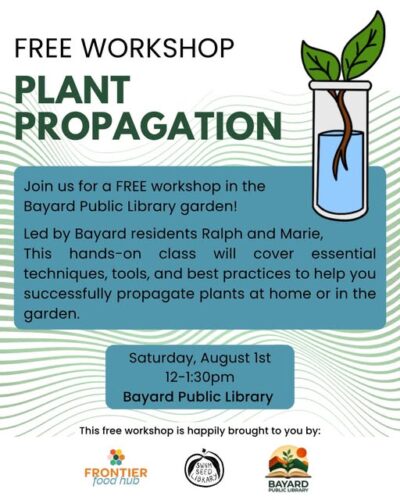 Plant Propagation workshop